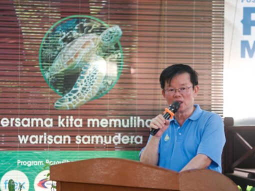 Pulau Pinang buktikan pembangunan dan konservasi boleh seiring, 15,822 anak penyu dilepaskan sejak 2021