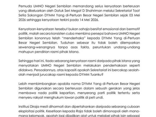 Pemuda UMNO NS bidas dakwaan ‘derhaka’ terhadap Istana